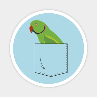 Indian Ringneck Parakeet Parrot Male Front Pocket Magnet